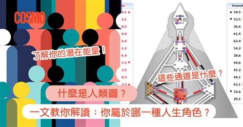 人類圖解說|人類圖是什麼？一文教你分析＋解讀4大類型及12種人。